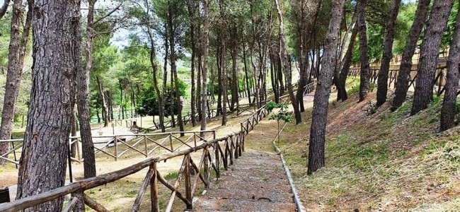 Montegiordano. Ecco l’Area Verde slow. Attività fisica e pic-nic immersi nella natura Montegiordano. Ecco l’Area Verde slow. Attività fisica e pic-nic immersi nella natura