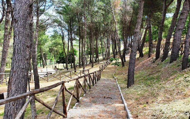 Montegiordano. Ecco l’Area Verde slow. Attività fisica e pic-nic immersi nella natura Montegiordano. Ecco l’Area Verde slow. Attività fisica e pic-nic immersi nella natura