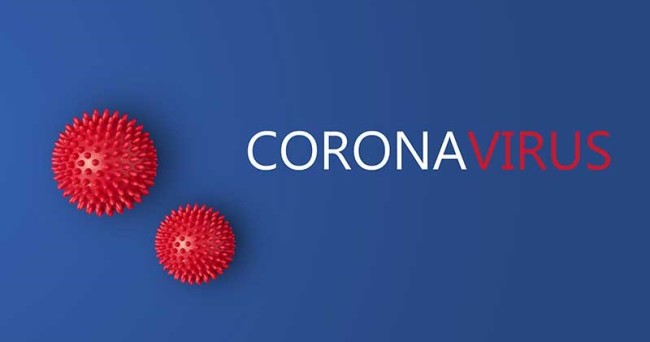 Coronavirus. Dati aggiornati Alto Jonio Cosentino – 29 novembre 2020