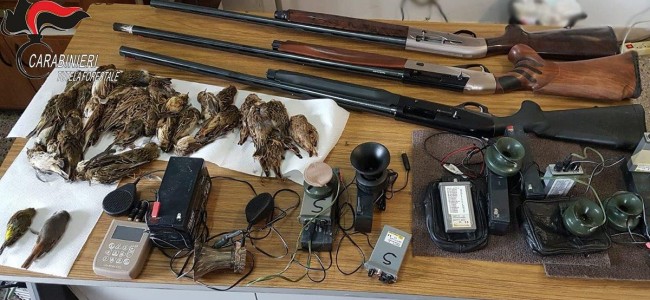 Turismo venatorio. Arrivano dal Nord per cacciare illegalmente nella Sibaritide Turismo venatorio. Arrivano dal Nord per cacciare illegalmente nella Sibaritide