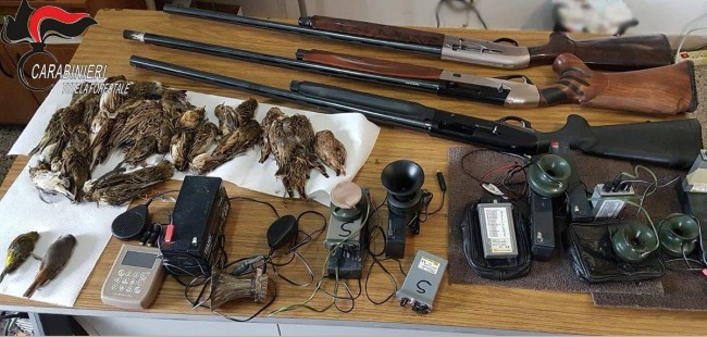 Turismo venatorio. Arrivano dal Nord per cacciare illegalmente nella Sibaritide Turismo venatorio. Arrivano dal Nord per cacciare illegalmente nella Sibaritide