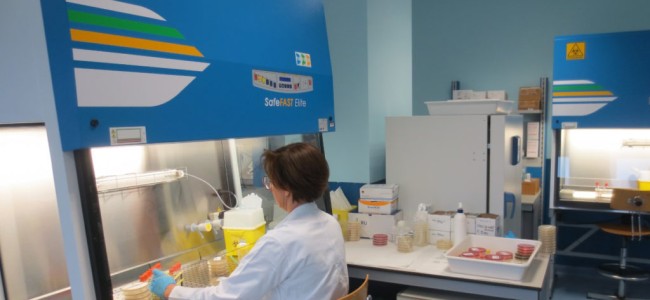Ritardo esito tamponi in provincia di Cosenza. Trasferiti 2.600 test al Policlinico di Bari Ritardo esito tamponi in provincia di Cosenza. Trasferiti 2.600 test al Policlinico di Bari