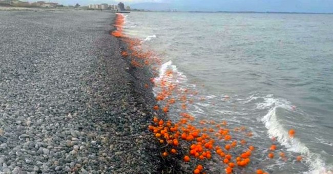 Villapiana. Clementine sulla spiaggia. Passanti pronti a raccoglierle