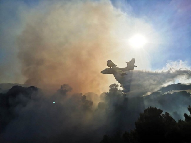 Pomeriggio di fuoco sulle colline di Amendolara. Squadre di soccorso domano le fiamme Pomeriggio di fuoco sulle colline di Amendolara. Squadre di soccorso domano le fiamme