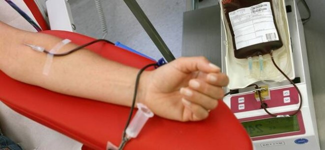 Trebisacce. Con l’Avis pronti a donare il sangue anche in estate Trebisacce. Con l’Avis pronti a donare il sangue anche in estate