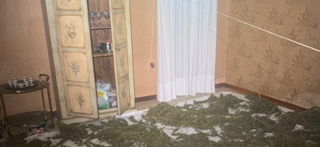 Corigliano. Appartamento trasformato in un laboratorio di droga Corigliano. Appartamento trasformato in un laboratorio di droga