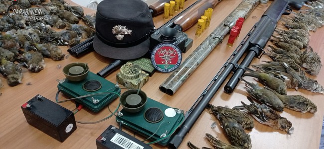 A caccia di uccelli protetti con acustici vietati. Due denunce a Terranova da Sibari A caccia di uccelli protetti con acustici vietati. Due denunce a Terranova da Sibari