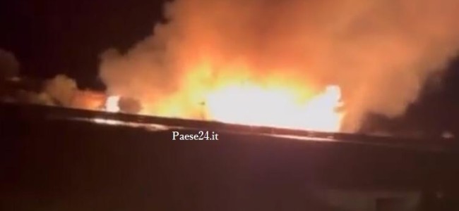 Amendolara. Fiamme si innalzano a ridosso di un’azienda. Pericolo scampato Amendolara. Fiamme si innalzano a ridosso di un’azienda. Pericolo scampato