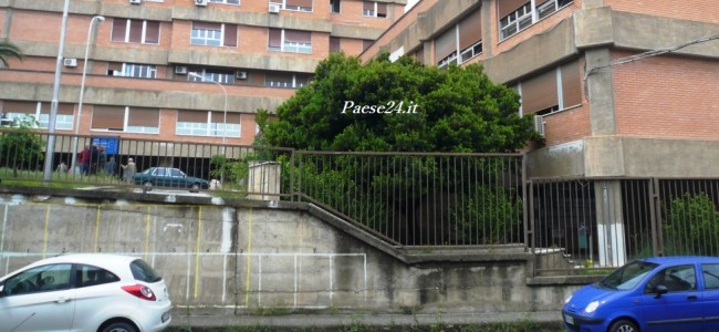 Ospedale Trebisacce. Nessuna riapertura trionfalistica. Avanti piano con le procedure Ospedale Trebisacce. Nessuna riapertura trionfalistica. Avanti piano con le procedure