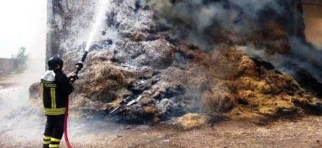 Sibari. Incendiate mille balle di fieno in azienda. «Fare chiarezza su atto criminoso» Sibari. Incendiate mille balle di fieno in azienda. «Fare chiarezza su atto criminoso»
