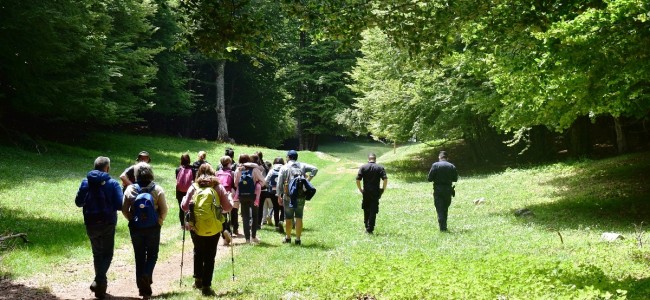 A piedi sul Pollino. L’appello: «Meno mezzi a motore nelle aree protette» A piedi sul Pollino. L’appello: «Meno mezzi a motore nelle aree protette»