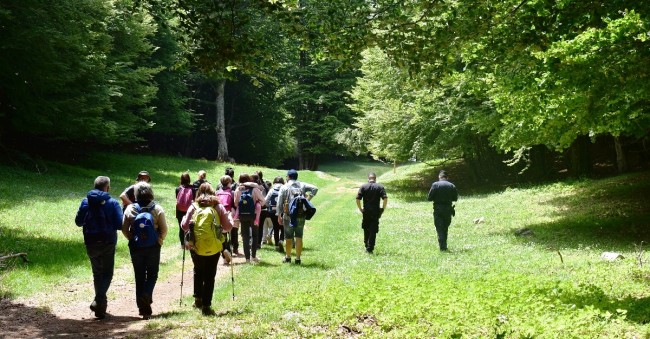 A piedi sul Pollino. L’appello: «Meno mezzi a motore nelle aree protette» A piedi sul Pollino. L’appello: «Meno mezzi a motore nelle aree protette»