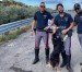 Amendolara. Poliziotti salvano cagnolino sulla Ss 106. Un agente: «Lo adotto io»