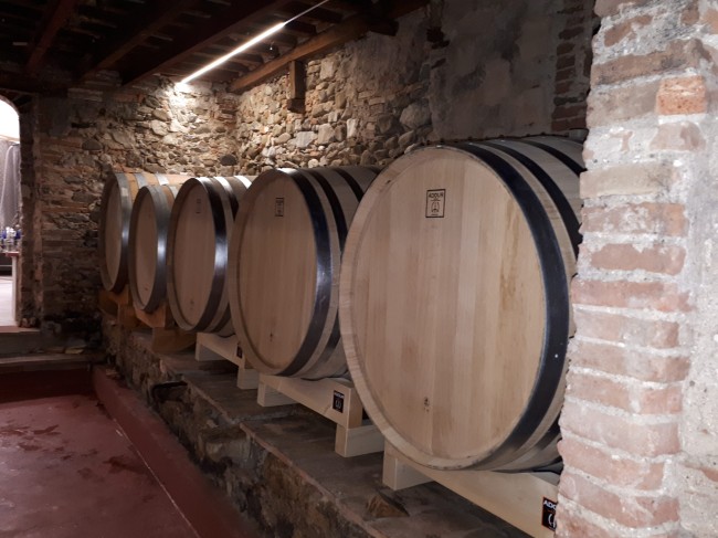 Plataci. Le atmosfere di un tempo attorno alle botti del vino nuovo Plataci. Le atmosfere di un tempo attorno alle botti del vino nuovo