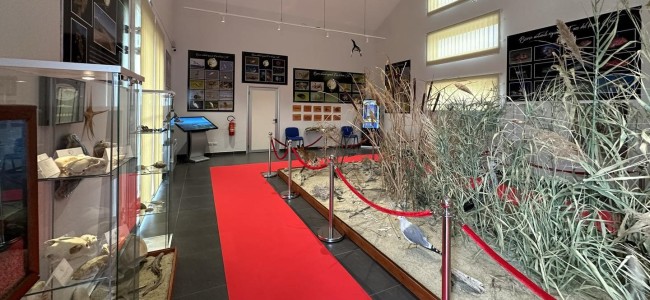 Sibari. Taglio del nastro per il primo Museo del Mare della Sibaritide Sibari. Taglio del nastro per il primo Museo del Mare della Sibaritide