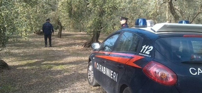 Sibaritide, furti aziende agricole. Confederazione Italiana Agricoltori chiede intervento Prefetto Sibaritide, furti aziende agricole. Confederazione Italiana Agricoltori chiede intervento Prefetto