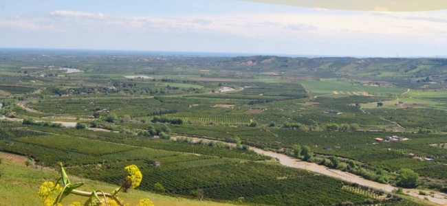 Forza Italia si interroga sul ruolo della Piana di Sibari nell’agricoltura che cambia Forza Italia si interroga sul ruolo della Piana di Sibari nell’agricoltura che cambia