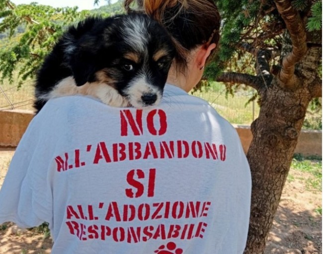 Castrovillari. Un opuscolo informativo sugli amici a quattro zampe e contro l’abbandono Castrovillari. Un opuscolo informativo sugli amici a quattro zampe e contro l’abbandono