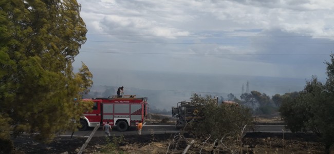 Amendolara. Vasto incendio scuote la tranquillità delle aree rurali. Attimi di panico tra fiamme e fumo Amendolara. Vasto incendio scuote la tranquillità delle aree rurali. Attimi di panico tra fiamme e fumo