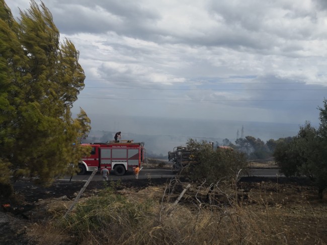 Amendolara. Vasto incendio scuote la tranquillità delle aree rurali. Attimi di panico tra fiamme e fumo Amendolara. Vasto incendio scuote la tranquillità delle aree rurali. Attimi di panico tra fiamme e fumo