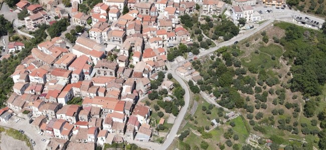 Profumo di tartufo sul Pollino. A Carbone escursioni nel bosco e degustazioni Profumo di tartufo sul Pollino. A Carbone escursioni nel bosco e degustazioni