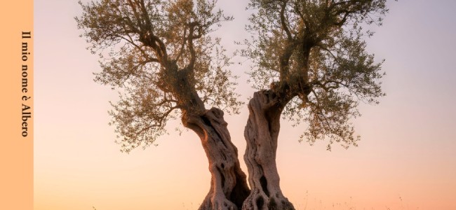 “Il mio nome è Albero”. La poesia come riparo dell’anima “Il mio nome è Albero”. La poesia come riparo dell’anima
