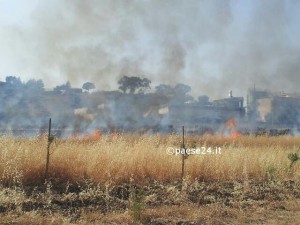 amendolara incendio spiaggia