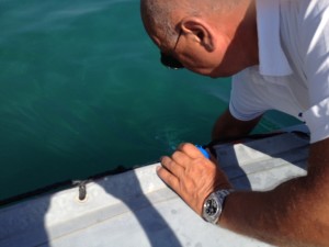 Campionamenti in mare (1)