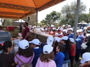 sagra montegiordano  scuola gal 2