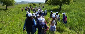 sagra montegiordano scuola gal