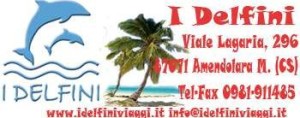 banner delfini per articoli