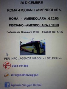 Ritorni a casa per le vacanze di Natale? DELFINI VIAGGI ti da una mano (clicca per ingrandire)