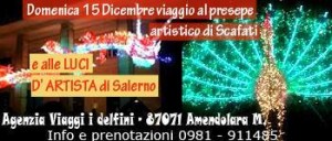 delfini 15 dicembre viaggio
