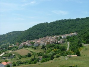 Plataci