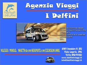 delfini mini bus