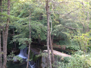 Il torrente Peschiera a Bosco Magnano (San Severino Lucano, Pz)