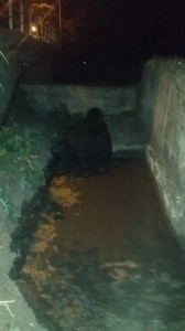 La foto inviata dal Movimento Terra e Popolo dei liquami finiti nel mare di Rossano