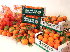 consorzio5-BIG