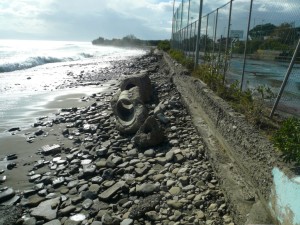 Treb. mare in temp.(1)