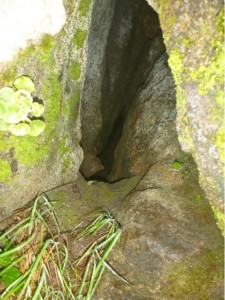 Immagine dell’ingresso prima della disostruzione e nell’allargamento per consentire il passaggio degli speleologi