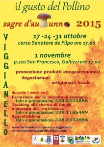 manifesto sagre 2015