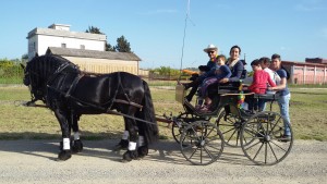 Carrozza presente all'evento