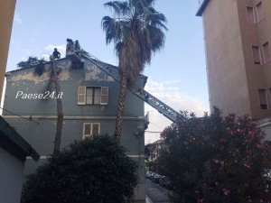 albero caduto trebisacce 2