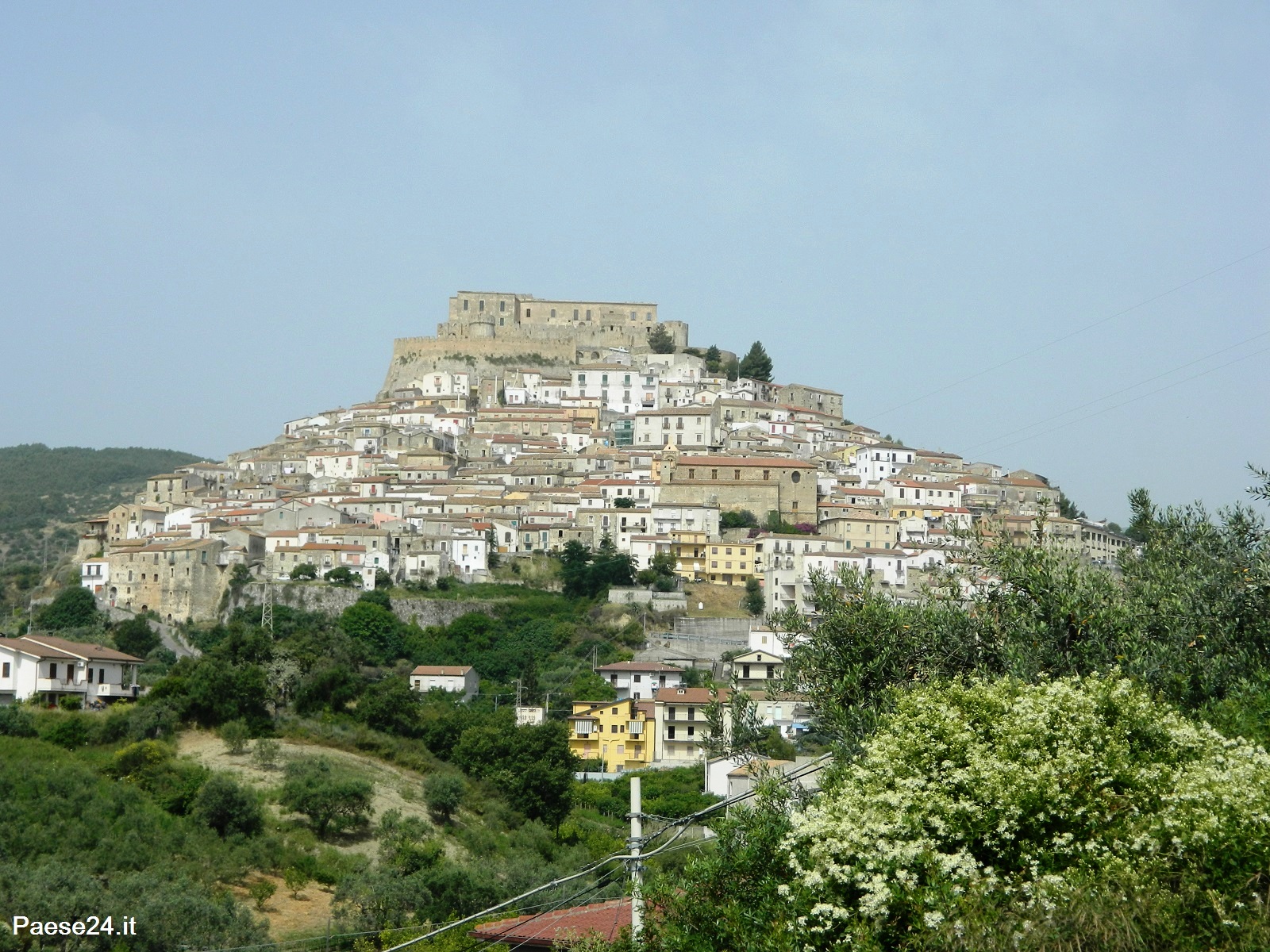 DSCN6874