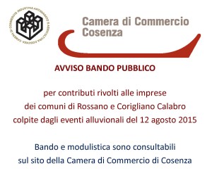 banner in home page e all'interno