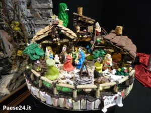 dscn8384