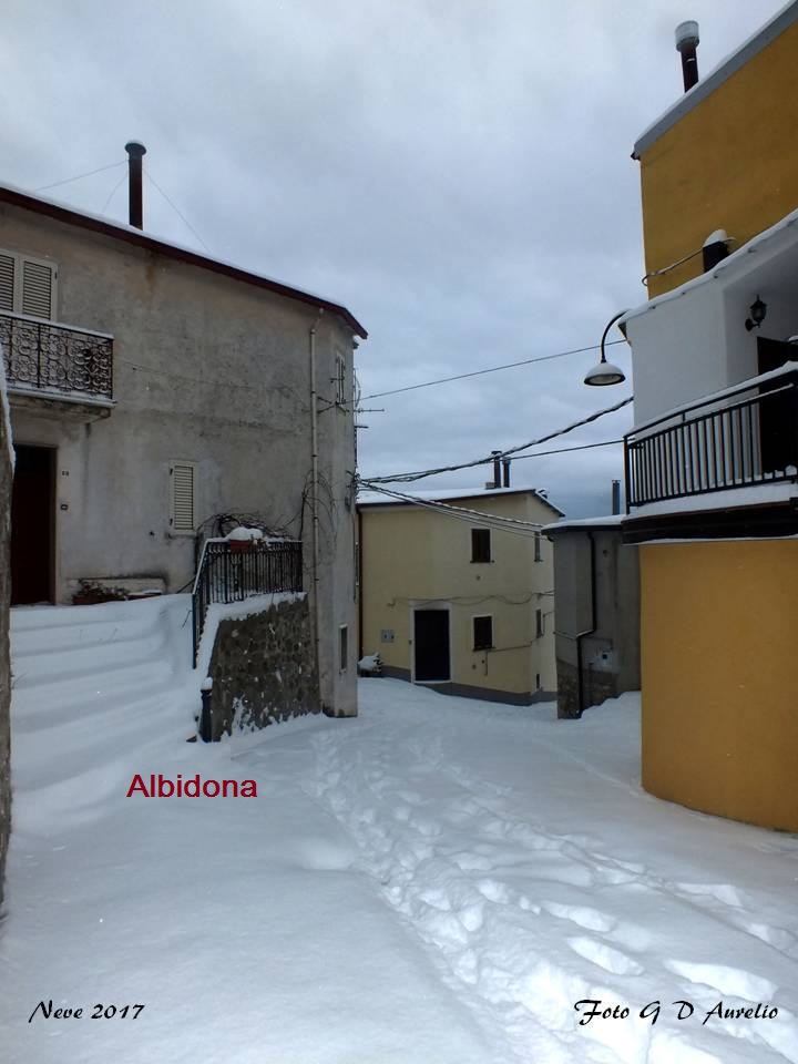 albidona-dario-giuseppe-aurelio