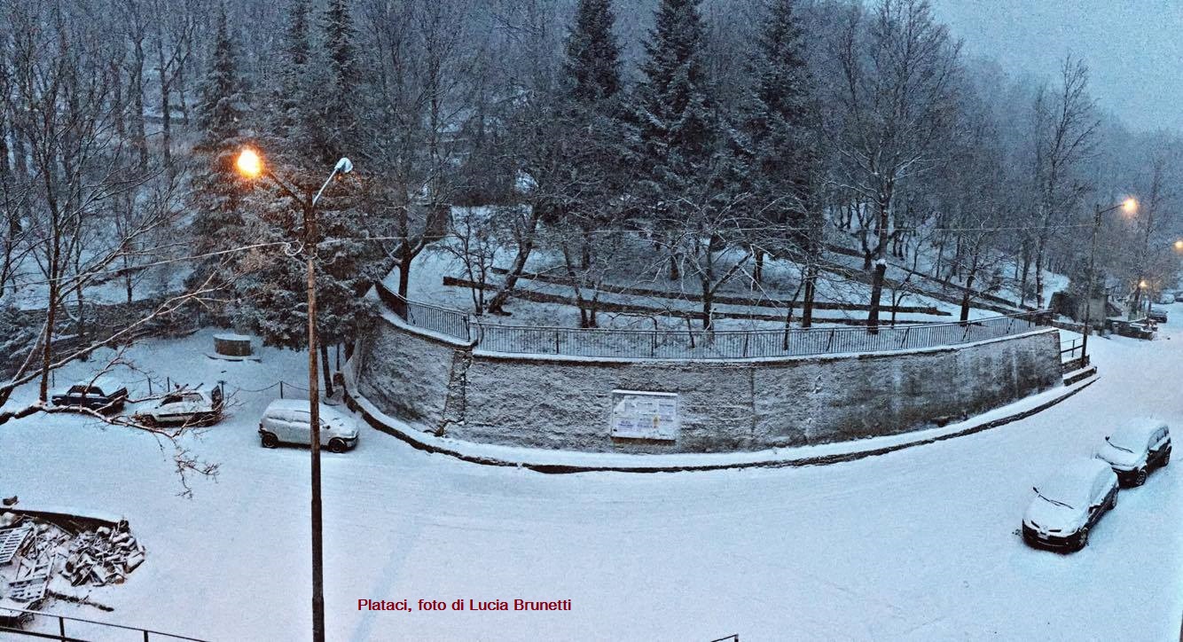 plataci-lucia-brunetti
