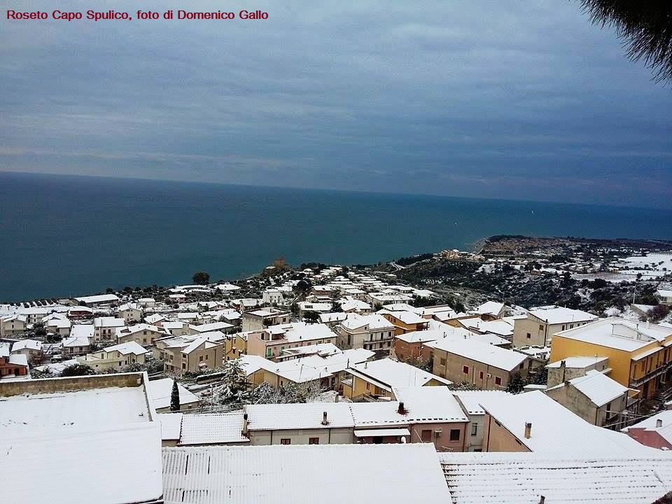 roseto-domenico-gallo