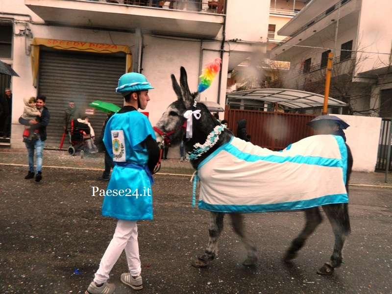 DSCN9079